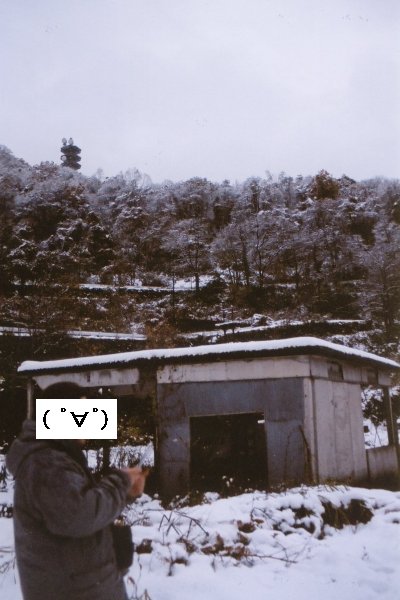 dg
