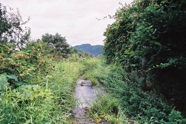 ÎR